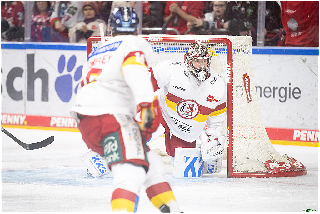 PENNY DEL; Koelner Haie-Duesseldorfer EG ; Koeln, 16.02.2025